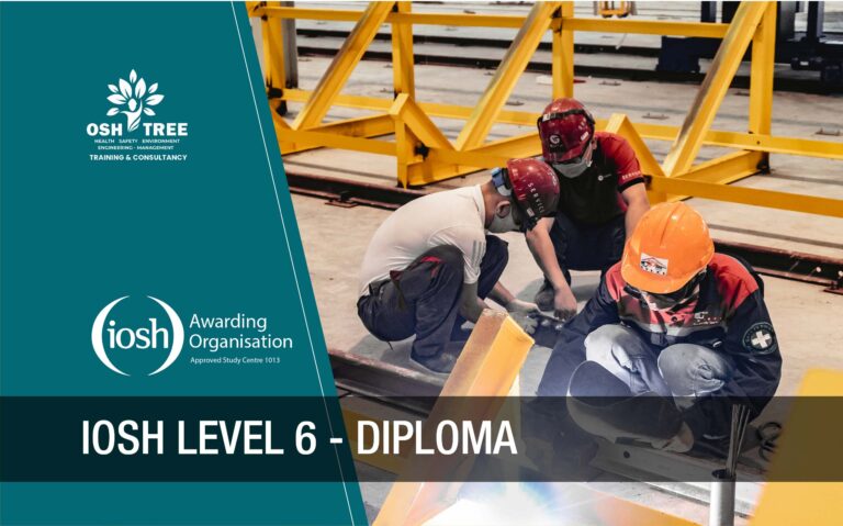 Achieve Excellence with NVQ Level 6 in HSE Management