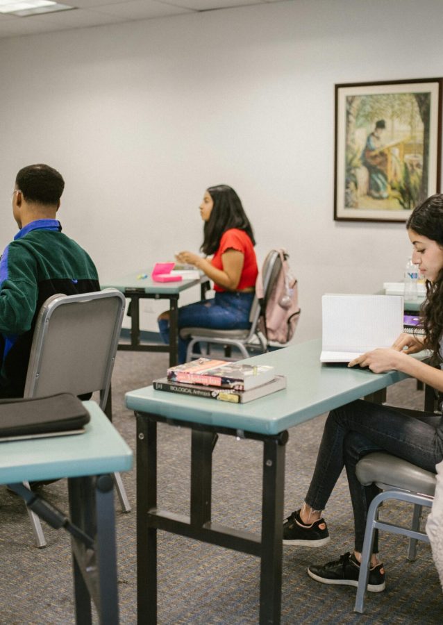 pexels-rdne-7092350 (1)